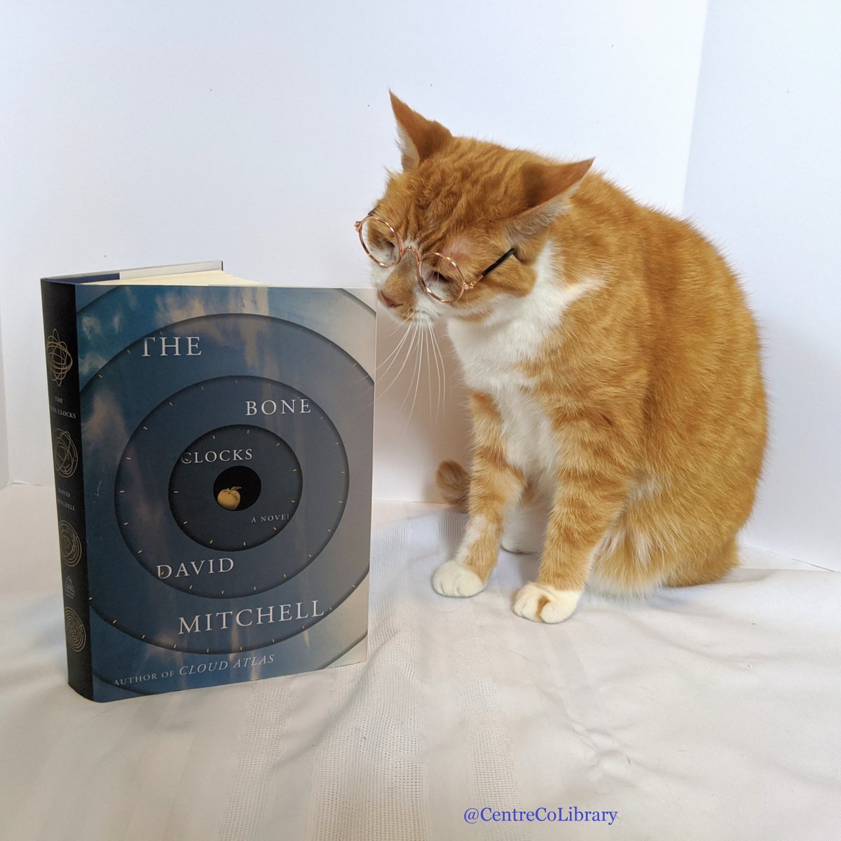 CentreCoLibrary's tweet photo. What is your pet reading today? Horatio is enjoying the sci-fi/fantasy #TheBoneClocks by @david_mitchell.  Comment with a photo of your pet and their title of choice! 

#PetRecs #HoratioTheCat https://t.co/quGr14bgov