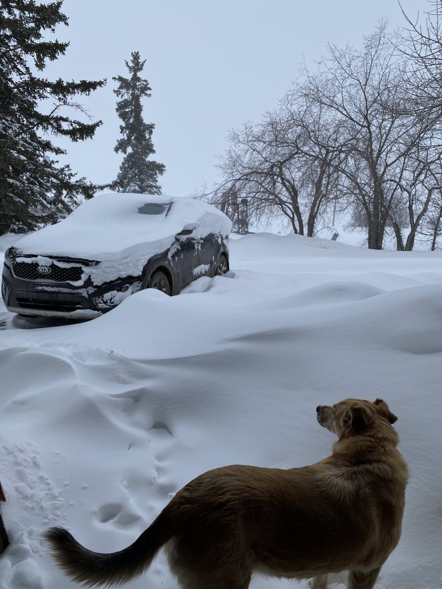 Michelledezz's tweet photo. Did the last day of Motive @HeartSoulFit https://t.co/xjUThju8IC then shovelled a path to my car for #extracredit! #IsItSpringYet #abnorth https://t.co/C4M2lZbE5I