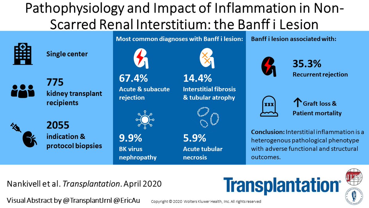 What is the significance of the Banff i lesion in renal allografts? This study by Nankivell et al describes the pathophysiology and impact of inflammation in non-scarred renal interstitium. bit.ly/3dJYihm