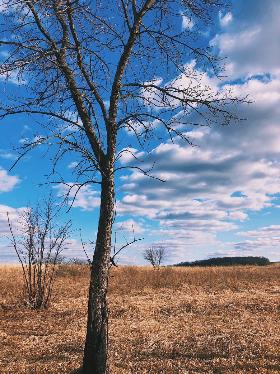 BethanyProchnow's tweet photo. Social distancing ~in nature~ at Governor Nelson State Park https://t.co/rUKSc6g2FL