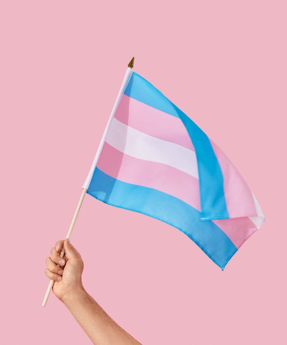 Aujourd’hui c’est la journée internationale de la visibilité trans.
Tout notre soutien aux personnes trans, vous êtes légitimes, vous êtes belles, vous êtes aimées 🙌
#TransDayOfVisibility