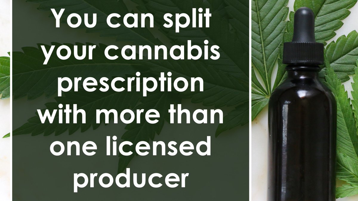 readytogoclinic's tweet photo. Having two producers makes it less likely that medicine will be out of stock. Here at @readytogoclinic, we have always offered the opportunity to split medication prescriptions amongst different #licensedproducers. 

We are now offering #virtualappointments.

#CannabisMedicinal https://t.co/d1Vt0iRiX9