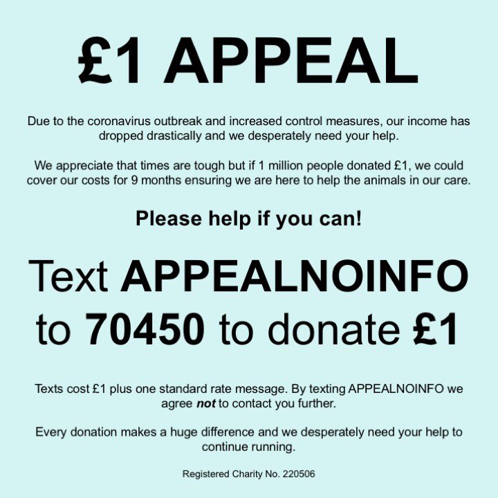 NCLDogCatSheltr's tweet photo. Weโd just like to take the opportunity to say a huge THANK YOU to all of our amazing supporters - you are all incredible ๐
Weโve been absolutely blown away by your kindness, generosity and love for animals and we are truly grateful for every donation, like, comment, share ๐ฅฐ https://t.co/ch9VHbBmRP
