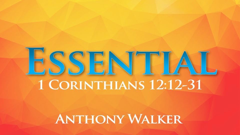 Hwy231South's tweet photo. Who God made YOU to be is essential. Your soul is essential. Love is essential. Forgiveness is essential. Grace is essential. Mercy is essential. Godโs word is essential.
You are essential!
#FocusOnEssentials #YearOfFocus
Hear full sermon on fb live or https://t.co/cdljHIoy20 https://t.co/nXO0Lek5gf