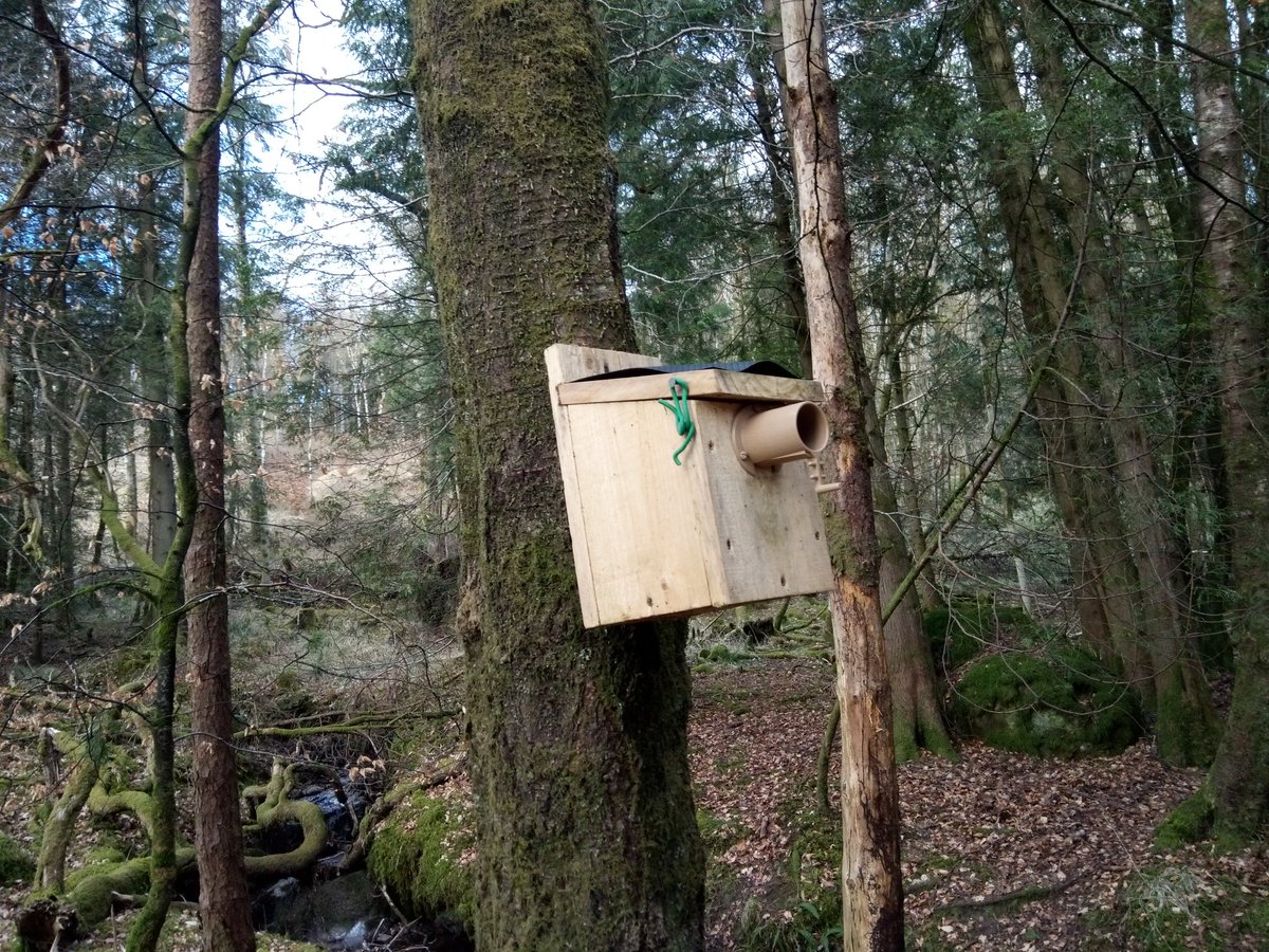 A1dan_C's tweet image. Anyone know what theses boxes are? Seen a few in the crags... @CallandersLand or @lomondtrossachs any help! Thank you,😁😁.