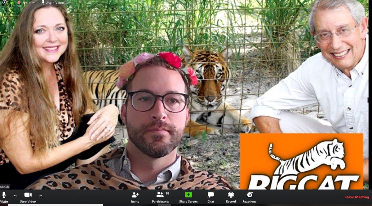 nickbaldi's tweet photo. Repping Team Carole for our @selectsac team check-in call this morning... taking #tigerkingtuesday a bit too far https://t.co/JyNXu6NaTY