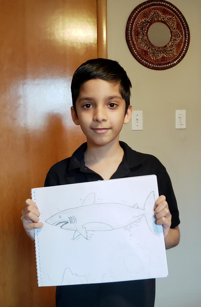 Joshua97895041's tweet photo. Here is my shark sketch https://t.co/cV0KsKQE42