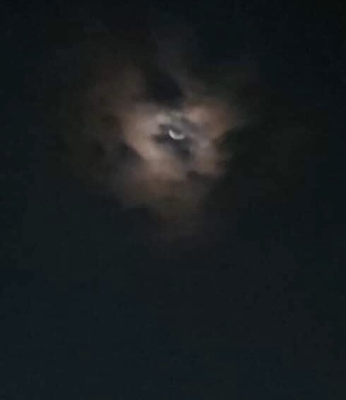 dark hunter👽 tweet media