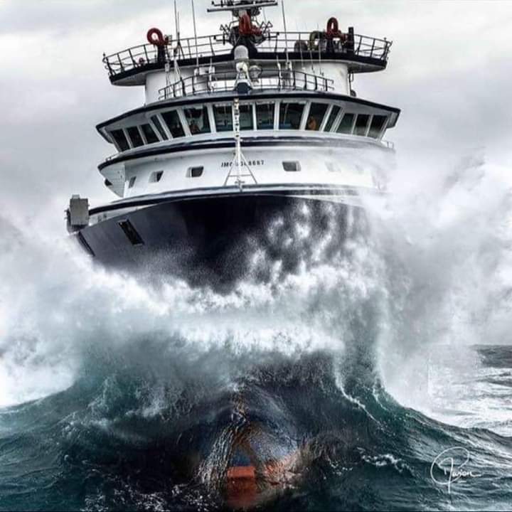 Amine Rijeka Lesinj Plove (@lesinj) on Twitter photo 