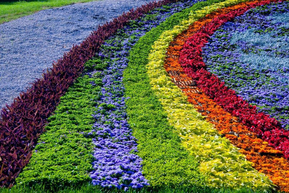 Let’s plant a RAINBOW! You’ll all have seen rainbows in windows to show support for the wonderful <a href="/NHSEngland/">NHS England</a> How about we plant rainbows all over our cities,towns, villages &amp; countryside. What do you think <a href="/crocusCoUk/">Crocus.co.uk</a> <a href="/WyevaleNurs/">Wyevale Nurseries</a> <a href="/dobbies/">Dobbies</a> <a href="/PerrywoodGarden/">Perrywood Garden Centre Tiptree</a>