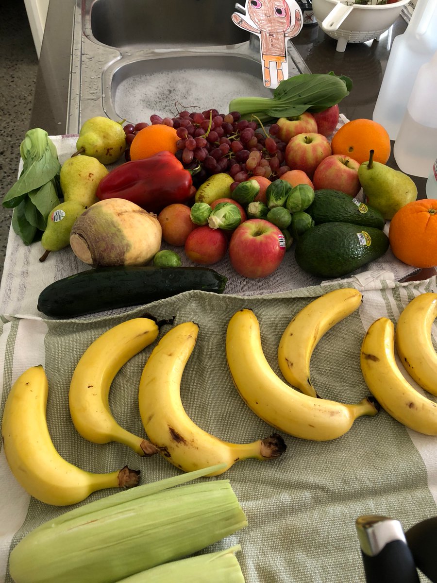 BentoFire's tweet photo. @LTuosto @amandavitalee I watched Pip, my host-mum, wash all our vegies and fruit in soapy water to make sure she didn't bring home a virus. Pip said she has never done it like this before.  Do you do this? #stuckinAustralia #makingfun https://t.co/mj6eAqFyyb