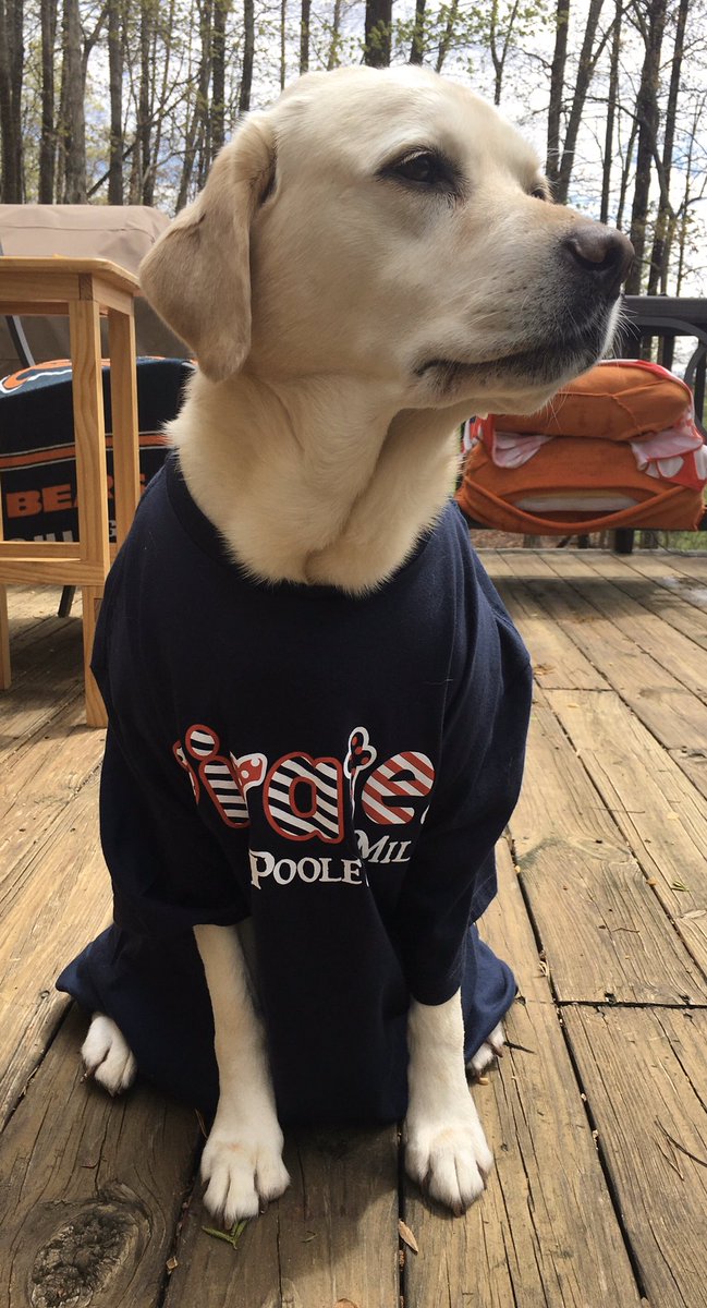 WutzOnFirst's tweet photo. @PoolesMillES Ready for my new adventure! #piratepride https://t.co/6Dq5kfKnvH