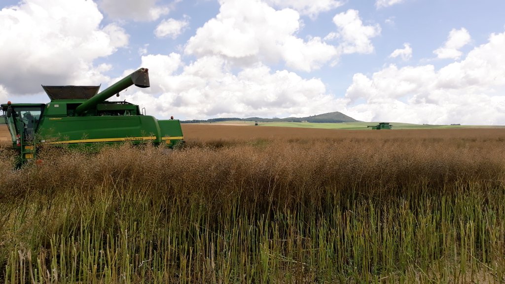 David_Agronomy's tweet photo. Reassuring to see Kenya has a home-grown cooking oil industry in these turbulent times, such a vital food ingredient #homegrown #FullyTraceable #Canola #Sunflowers https://t.co/BIIkd0FfVb