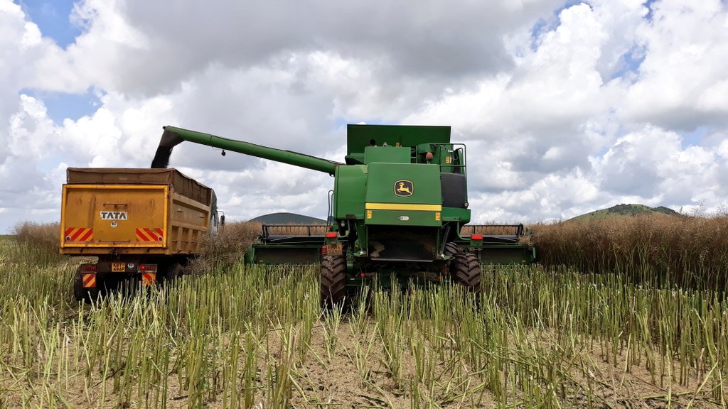 David_Agronomy's tweet photo. Reassuring to see Kenya has a home-grown cooking oil industry in these turbulent times, such a vital food ingredient #homegrown #FullyTraceable #Canola #Sunflowers https://t.co/BIIkd0FfVb