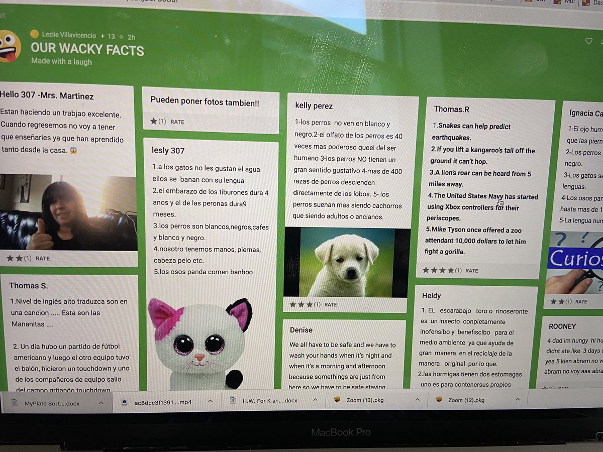 lisettmartinez7's tweet image. Ms. Villavicencio getting her students to collaborAte on different topics from Mystery Science video responses, wacky facts, their online learning experience, plus recording vidoes on padlet. @padlet @wnyps5 #makingeducationfun #bilingualed @YvetteMiranda19