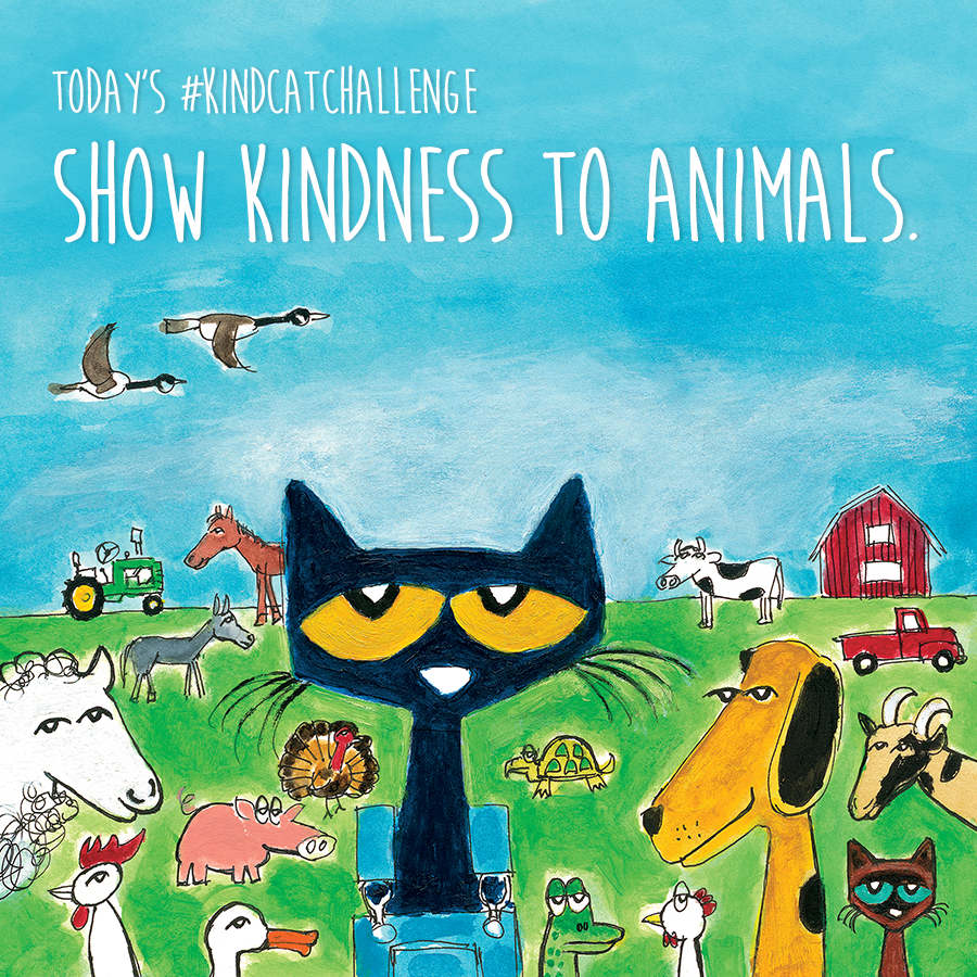 Do this by: loving on your pets or drawing a picture of them. If you don't have any pets, you can sing with the birds or look for wildlife in your own backyard. 🐦🐶🐱🐠 Post about how you showed kindness to animals today, tag @petethecatofficial, and use #KindCatChallenge. 💙