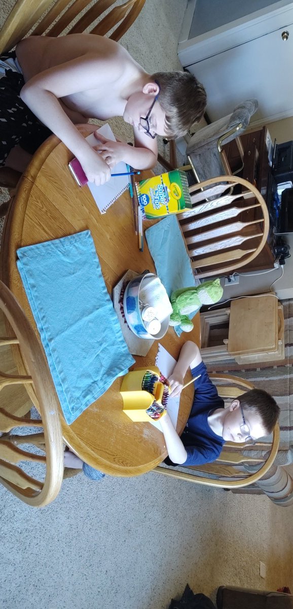 paulemwagner's tweet photo. Working on their "not at school learning" with art today. Bran, Jake (and Sucky) are drawing what they see out the window. @whfalcons https://t.co/aDsNnt7YsX