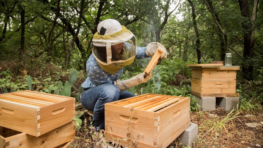 Looking to learn a new skill while sheltering in place? Our 2019 grant recipient @twohiveshoney is now offering their popular beekeeping online. Find out what all the buzz is about in the link below. 🌸 🐝 bit.ly/3bFkmYv