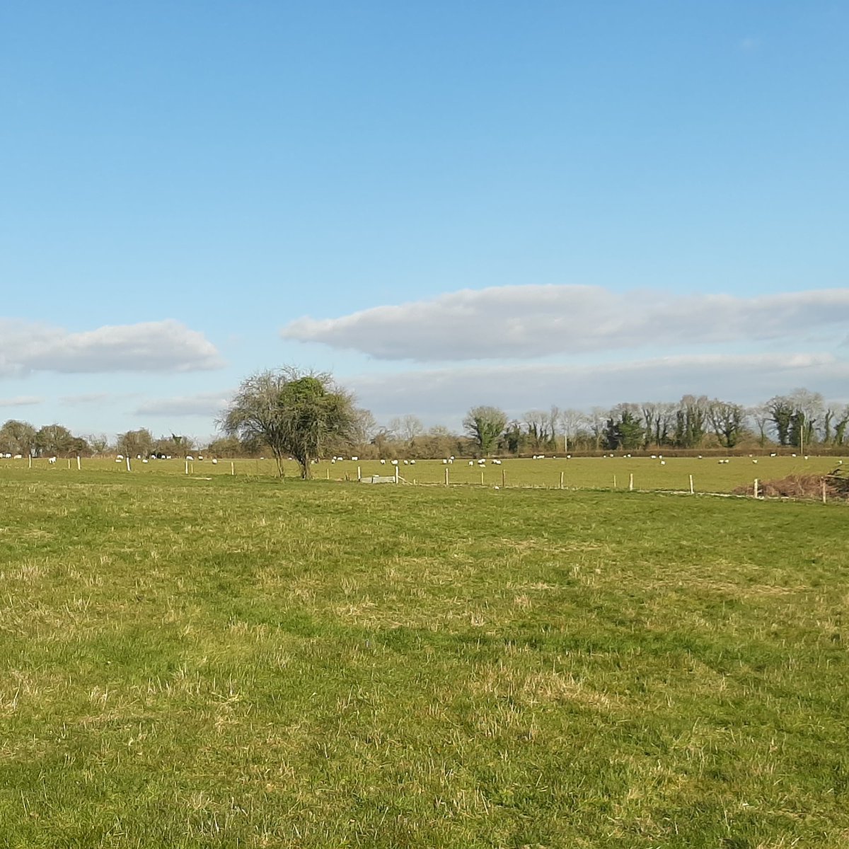 Parsonage Farm tweet media