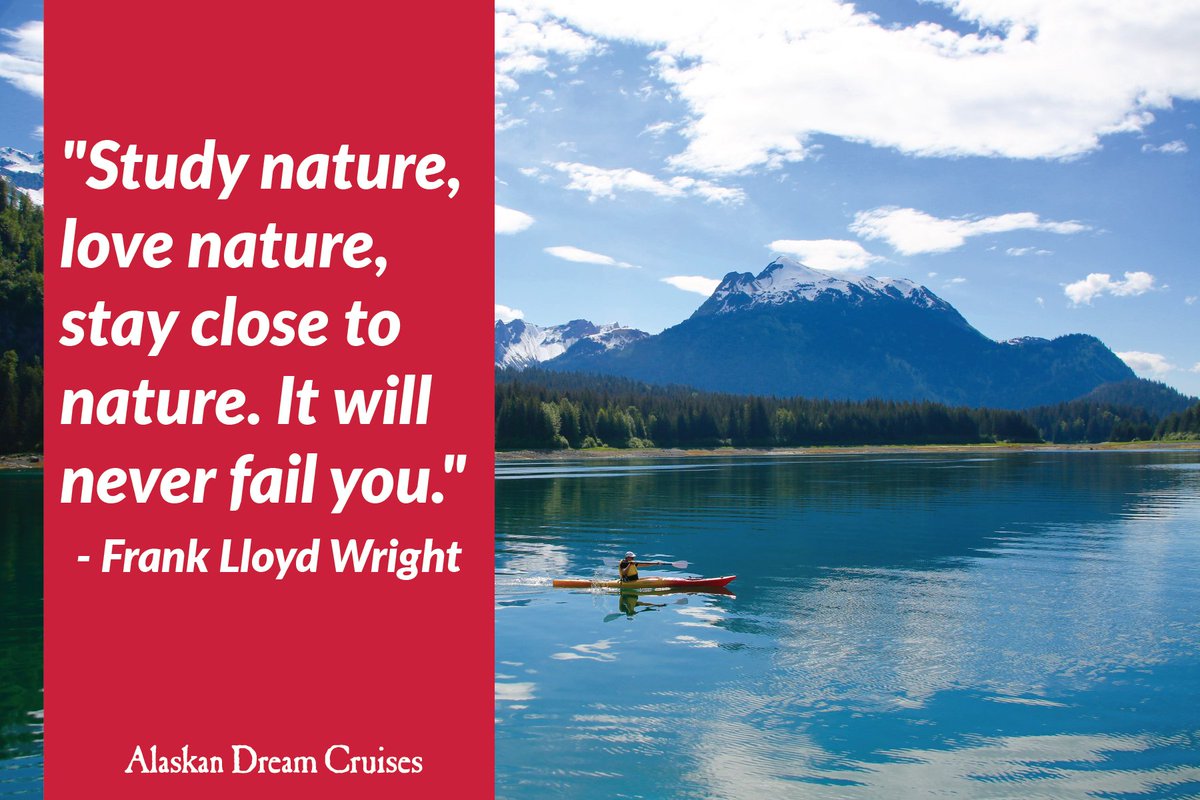 AKDreamCruises's tweet photo. We’re taking this time to show our #Alaskaappreciation. Spring is here and our snow-covered views are changing to even more vibrant scenery + animals are starting to emerge. What are you doing to stay connected to nature? #TrueAlaska https://t.co/VVv5FbWRpO