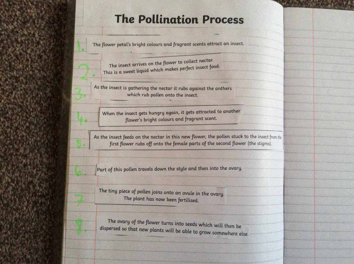 Anna Ebden tweet media