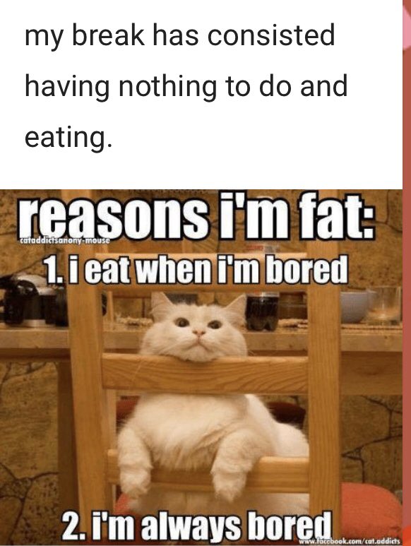 aprilpollick's tweet photo. Online learning day 1
Had my students post memes on Padlet as daily check in. Brightened my day! I miss them so much! #padlet #vikingpride https://t.co/vJlGaOfXDL