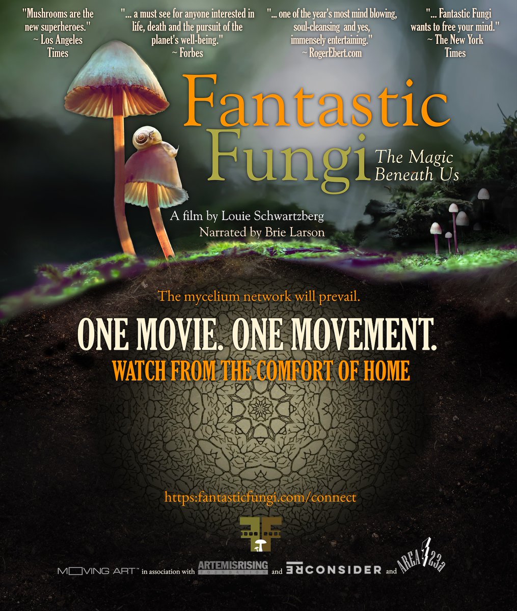 Paul Stamets tweet media