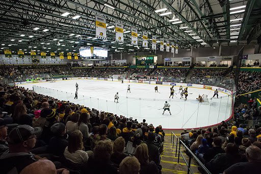I am extremely proud and honored to announce my commitment to play division 1 college hockey at Northern Michigan University! I want to thank all of my teammates, coaches, family, and friends who have supported me and helped me throughout this journey. #wildcats