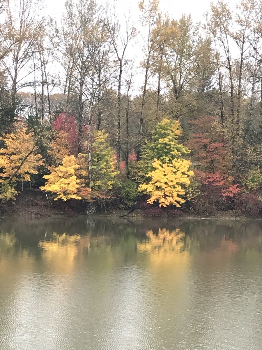 Life in pictures 5/5...today I am grateful for it all:)