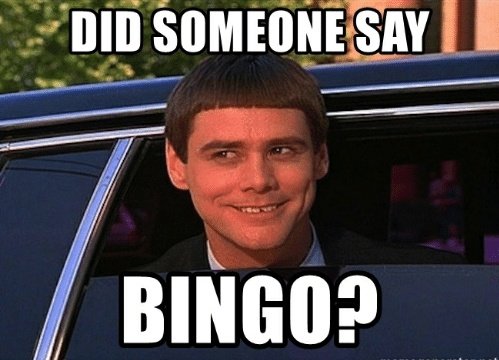NS_StThomas's tweet photo. Can't wait for St Thomas' virtual bingo tonight! I have the lingo for the bingo! Can't wait to see everyone! #isolationbingo #familynotcolleagues @InfinityAcad @GreatOaksFed https://t.co/4JMVmc4XaY