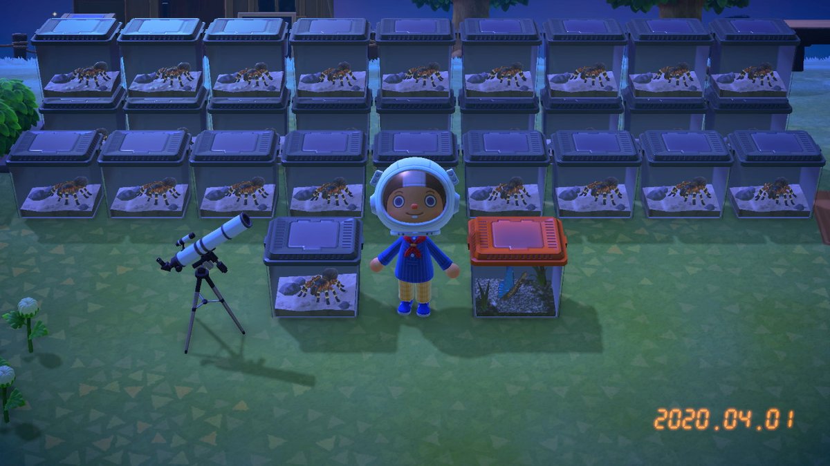 CyoungLP's tweet photo. #动物森友会 #AnimalCrossing #ACNH #NintendoSwitch https://t.co/DfF55QwwlN