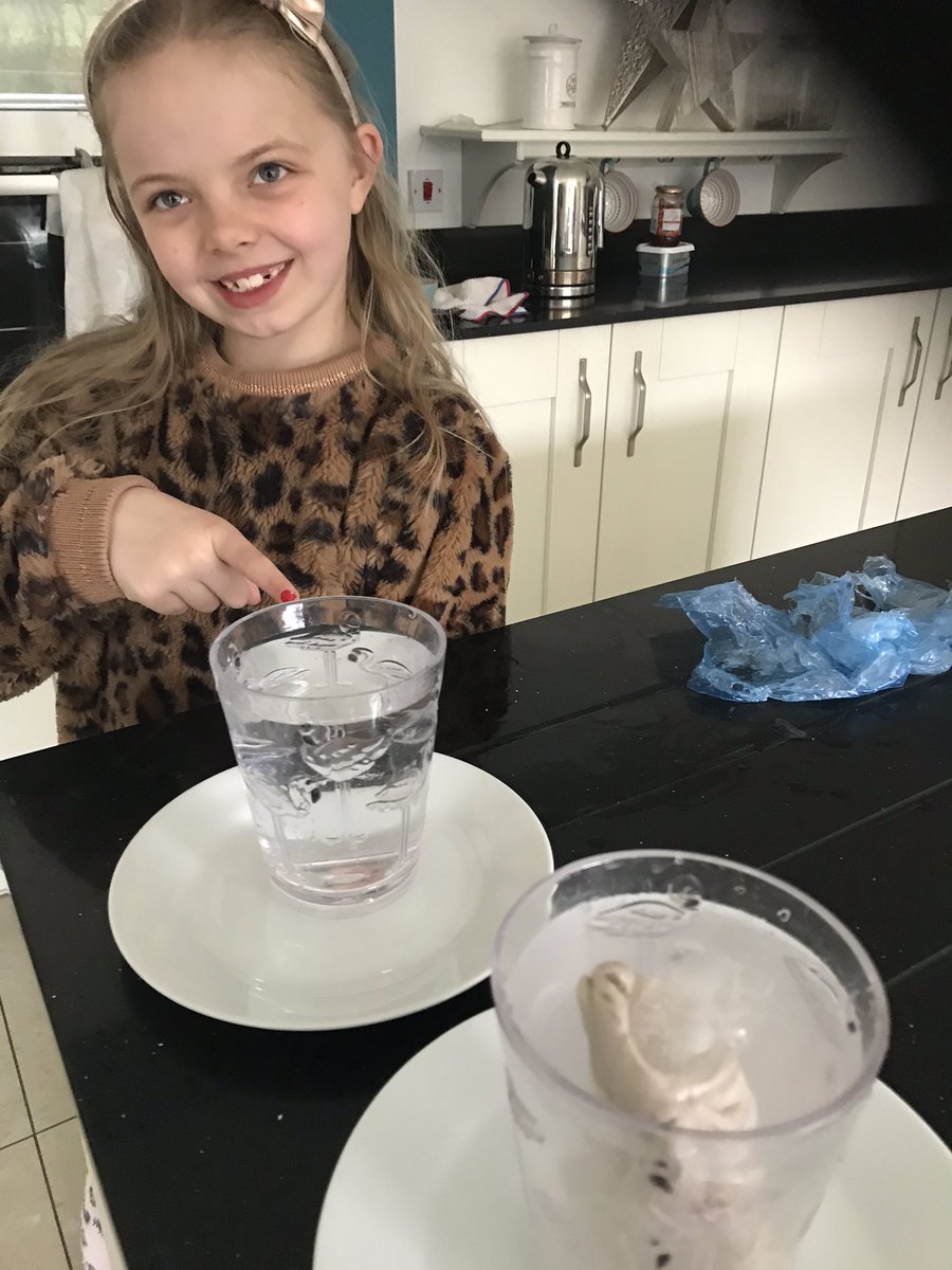247badger's tweet photo. @ThurgolandPS  this week we have been planting seeds and doing science experiments . #Whohastime forworkanyway 🤭 https://t.co/nvh6MGiEG0