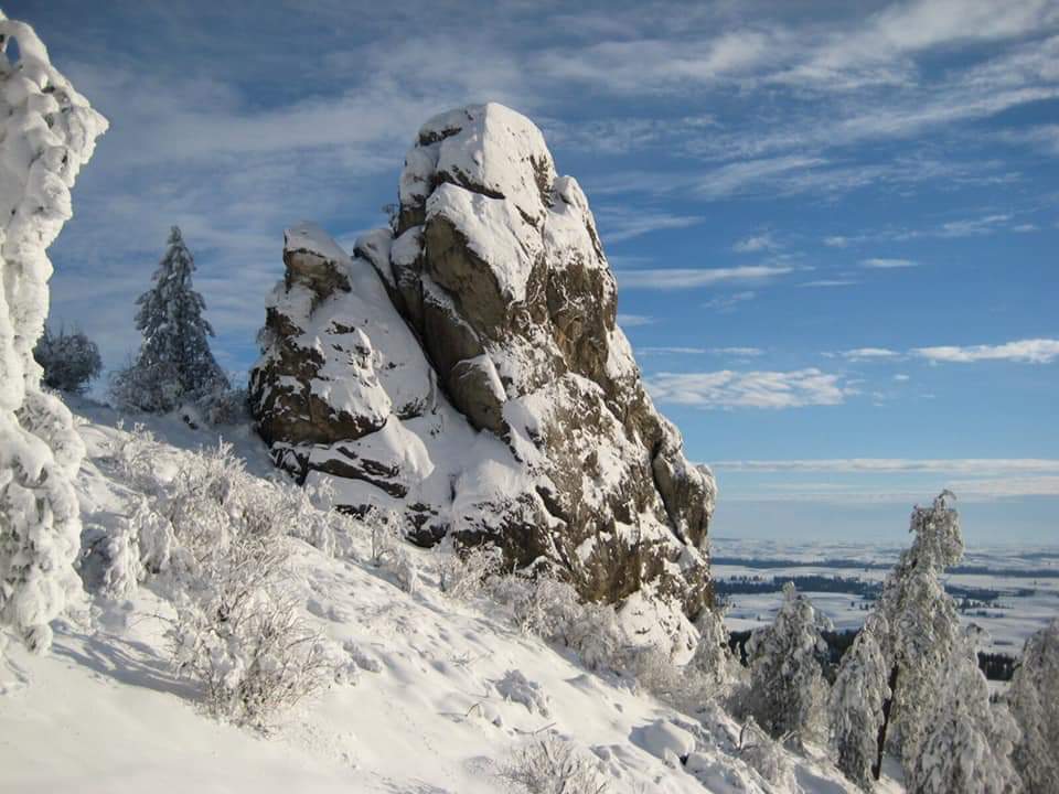 EwuGeology's tweet photo. Day 11 #exploreoutdoor #eaglesoutside dishman hills conservation area pegmatitic granites (K/Pg)and schisty/gneiss (preC). Might be a little snowy up there today! Enjoy #rocksofsharon #dishmanhills #micas @CVSDspokane @spokaneschools @spokanecounty @EWUEagles @ewu_epic https://t.co/om77j5vkSn