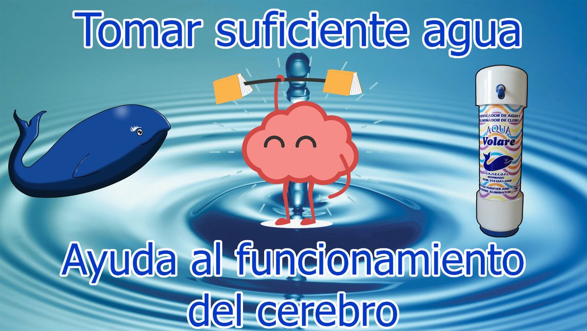 UltraVolare's tweet photo. Recuerda tomar suficiente agua, para estar bien ๐๐ #singarrafon https://t.co/baTYXj8be5
