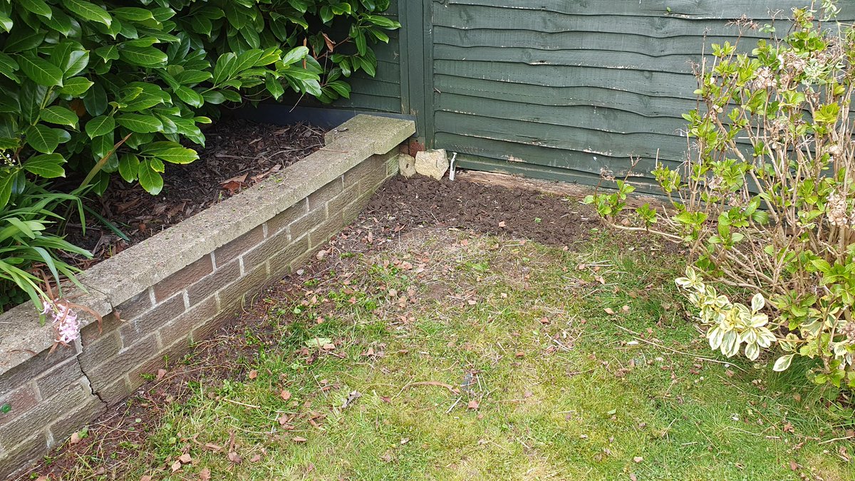 PrettyBallerina's tweet image. Started weeding mum&apos;s garden today as it hasn&apos;t been touched since she died two years ago 😬 

I am definitely NO gardener and she was probably shouting down at me &quot;Don&apos;t dig that up you stupid bitch, it&apos;s a plant!&quot;, but hey ho.....it looks better 🤷🏼‍♀️🤣 #SorryMum #LearnOnTheJob