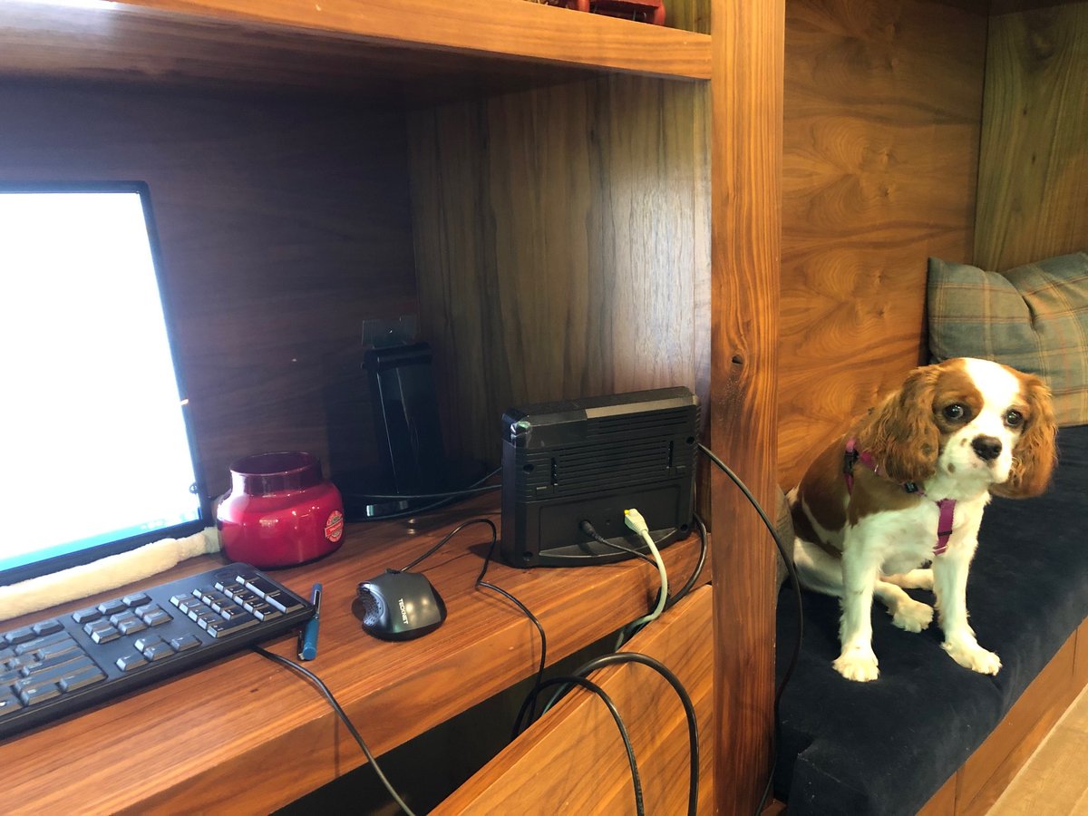 We are keeping projects on schedule, settling into our new Work From Home office spaces. The M+P family is staying productive with snacks and four legged co-workers. We hope you are staying safe and healthy as well! #architecture #multifamily #WFH #HoustonWorkSafe