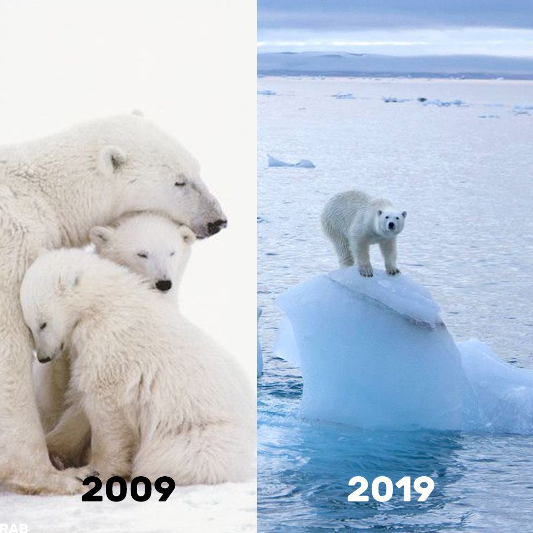 astrotor's tweet photo. #10YearChallenge https://t.co/cVqSepbWfd