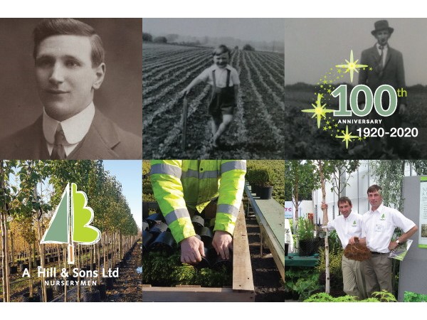 UL: North Yorkshire grower reaches 100 year milestone <a href="/HillsNursery/">A.Hill & Sons</a>
floraldaily.com/article/920392…