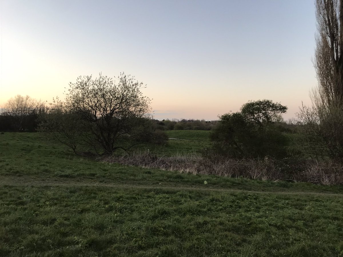 kistof's tweet photo. Nice to see the real colours of sky south norwood park - not a flight line in site! #Isolationday9 https://t.co/2tGPB7sjfA