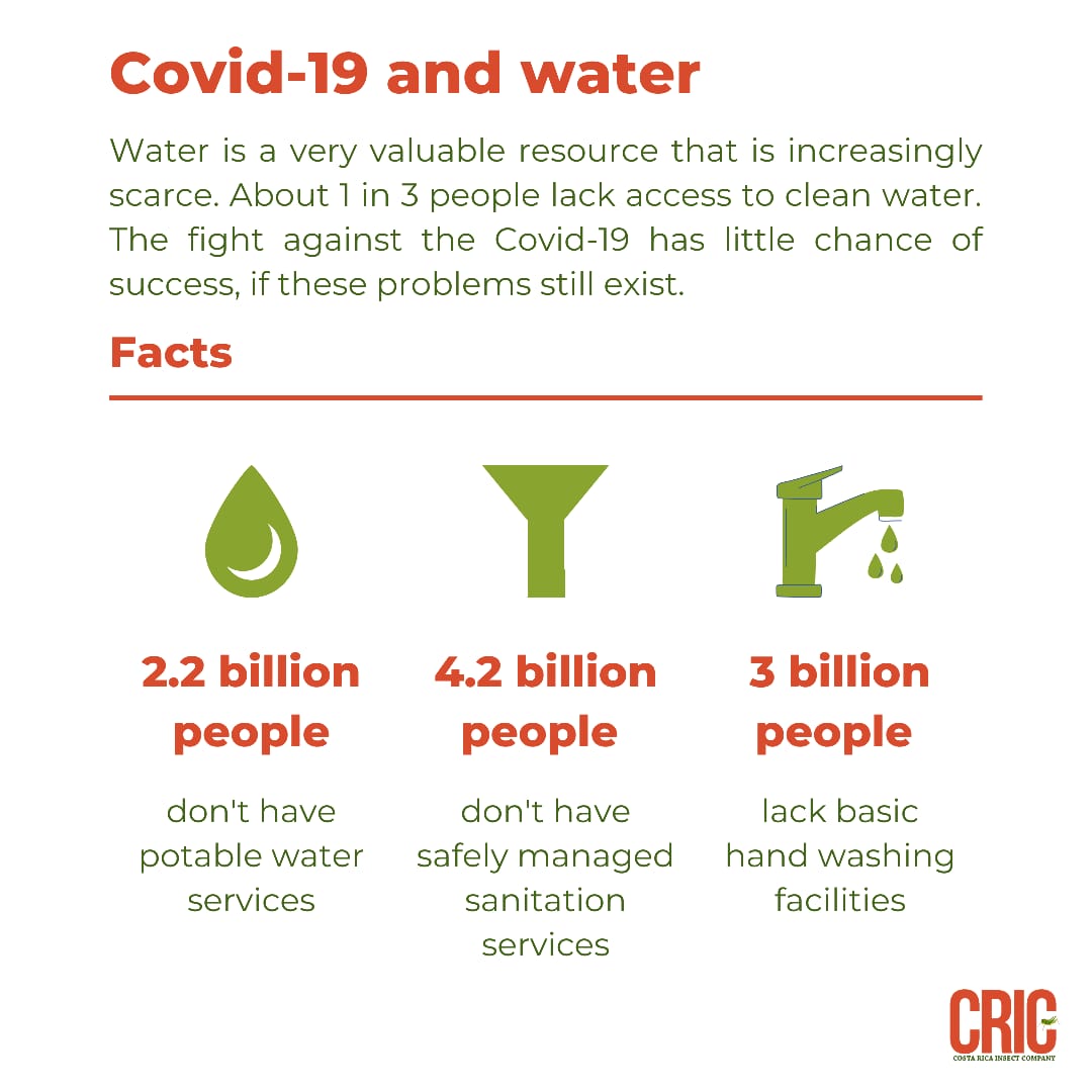 CRInsect's tweet image. The current situation that we are living with COVID-19 has exposed a list of problem that were hide for a long time, such as lack of sanitation services and water.
#CRIC #covid19 #water #SaveTheWorldEatBugs