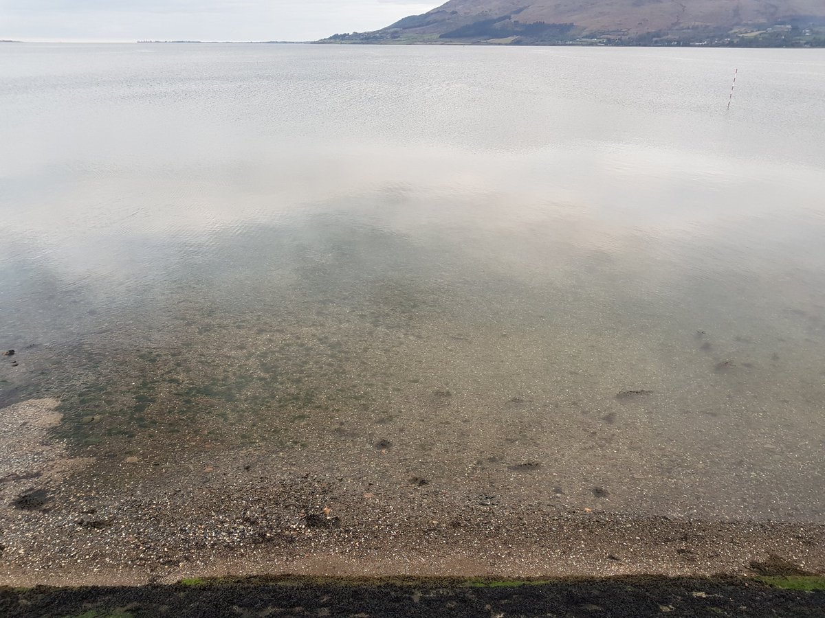 Aster_FNDS's tweet photo. Don't believe I have ever seen the water in warrenpoint as clear. https://t.co/0HumXQlA09