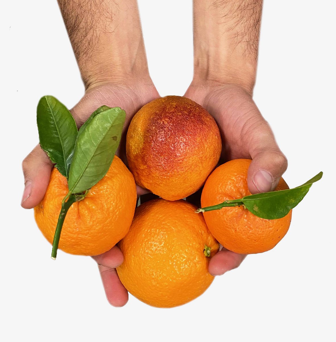 BranchToBox's tweet image. We hope you are safe and healthy in your office or
home! 🍊🍊🍊🍊🍊🍋🍋🍋🍋🍋
#officefruitdelivery #homedelivery #freshfruit #health #healthyeating #fresh #healthandwellness #wellness #fooddelivery #healthyliving #healthylifestyle #delivery
