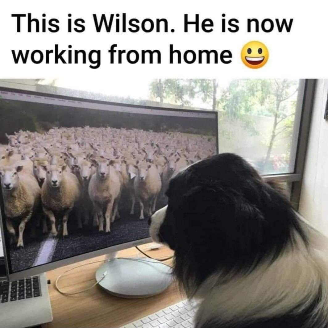 CAupdates's tweet image. Saw this and thought of you all. Best one we have seen yet... 😄

#spreadjoy #communitycheer