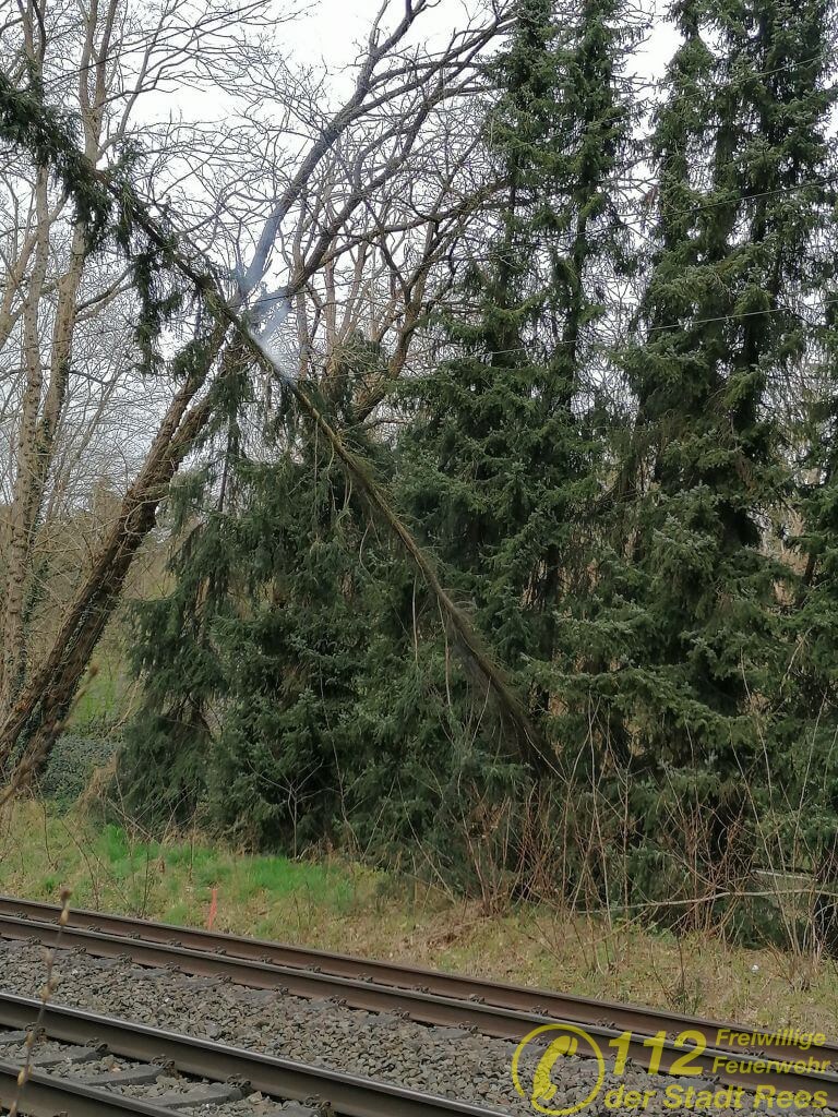 🚒 Baum auf Oberleitung 🚨
Der Löschzug Haldern wurde am Sonntagnachmittag zu einem umgestürzten Baum auf einer Oberleitung alarmiert. [...]
#FFRees #LZHaldern #FürMichFürAlle #Feuerwehrenamt
----
Neugierig geworden? Jetzt… feuerwehr-rees.de/2020/03/31/bau…