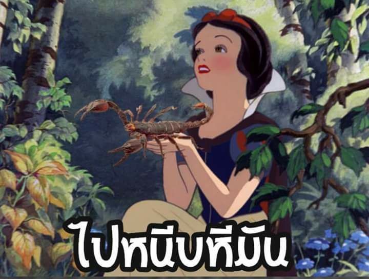 Funnymemeza's tweet photo. #มีม #มีมตลก #มีมหมา #มีมแมว #meme #memes #PLFunnymemes https://t.co/3fdDunaalq
