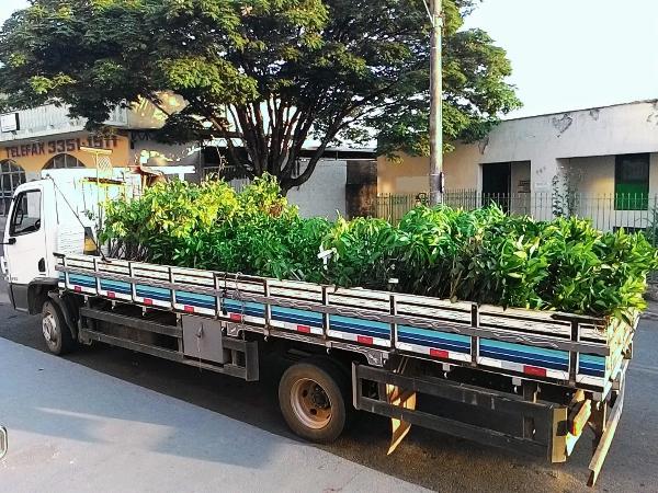 Asbraer_oficial's tweet photo. #FiqueAtento: @Mapa_Brasil prorroga prazo para cadastramento da safra de mudas em MG

Acesse: https://t.co/j39joON14O

#Asbraer #AgriculturaFamiliar https://t.co/eTc0cPZcZW