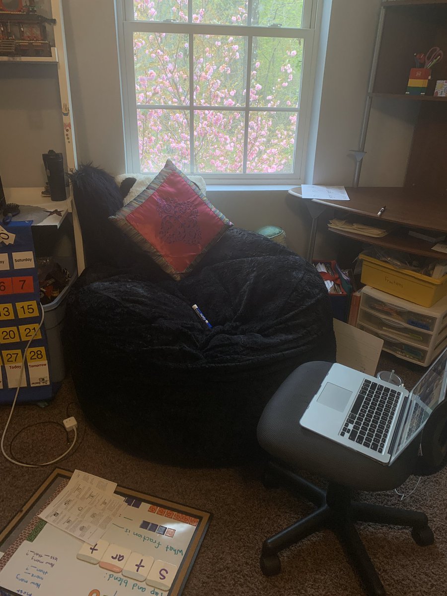 NES Newcomers tweet media