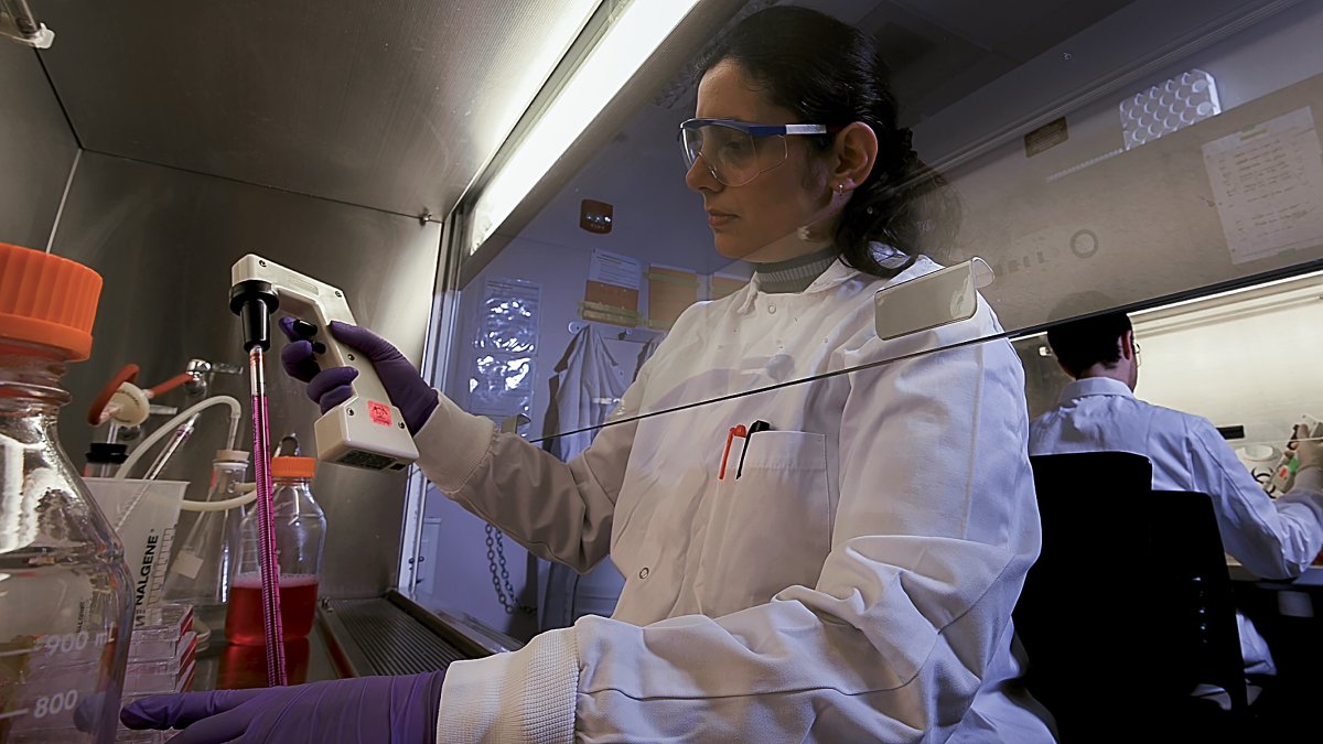 LifeAtPurdue's tweet photo. Purdue University researchers currently have more than 20 research projects underway to understand, prevent, treat, and overcome the COVID-19 pandemic. Click the link below to find out more. #PurdueInnovation #PurdueUniversity
https://t.co/wYNQ56OmeH https://t.co/1SRRnjIT3R
