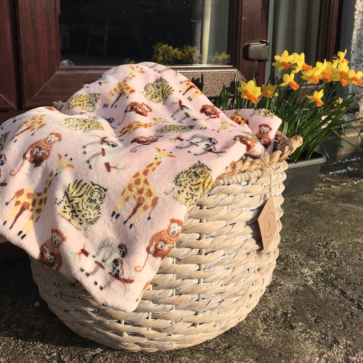 siopsioned's tweet photo. One of my absolute favourite new designs, soft fleece with a classic safari print design. Ideal for beds, sofa's &amp; camping trips - just makes you want to cuddle it! Design consisting of a giraffe, tigers, monkey &amp; sloth.
available online at https://t.co/dU7bqCe3P7 https://t.co/1H346FU7Mg