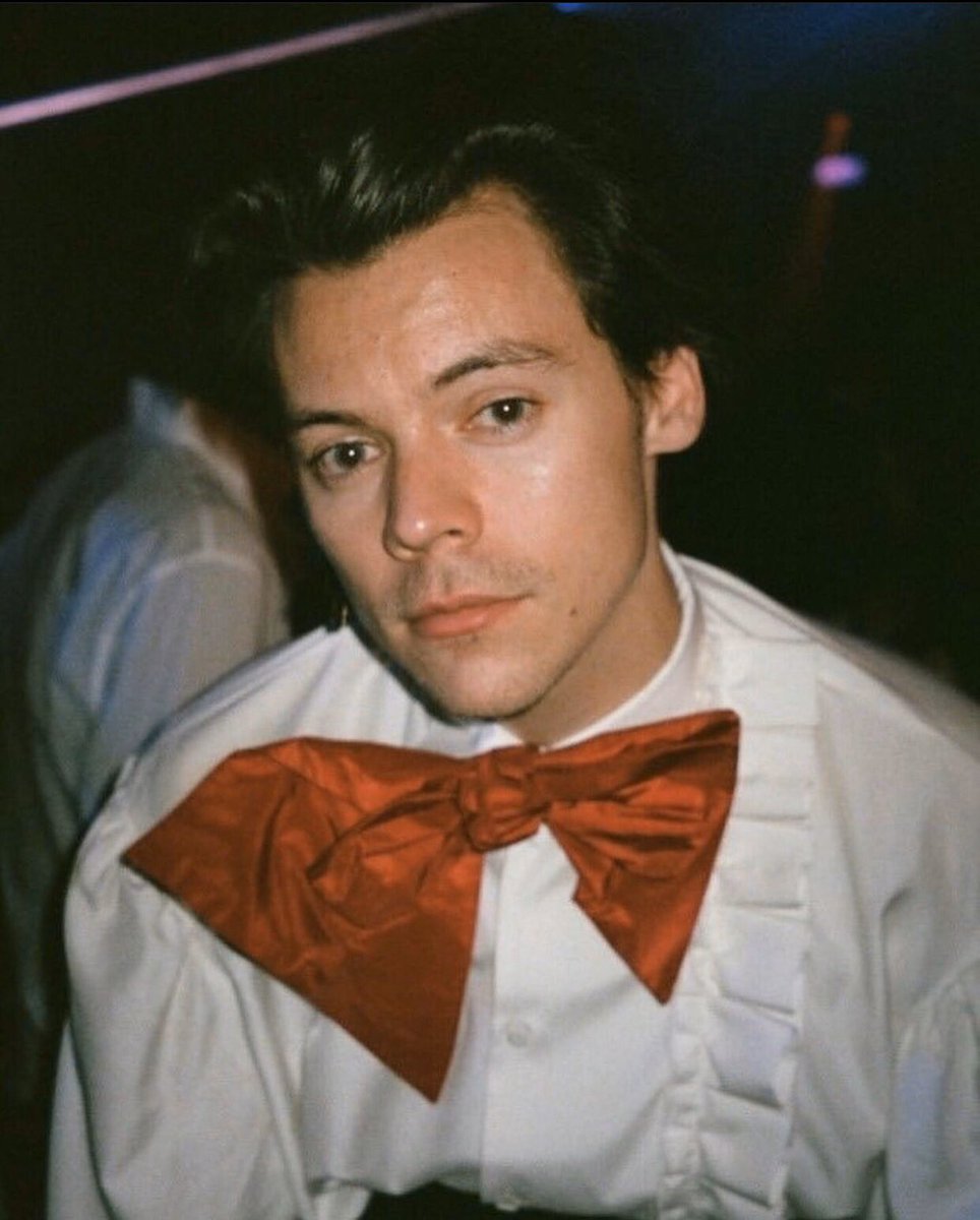 stansamspam's tweet photo. You sunshine, you temptress

#heautifulharries https://t.co/Qkw0cWCmdJ